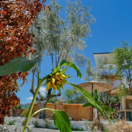 Feriehus Zai Jardin *